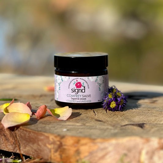 Comfrey Healing Salve