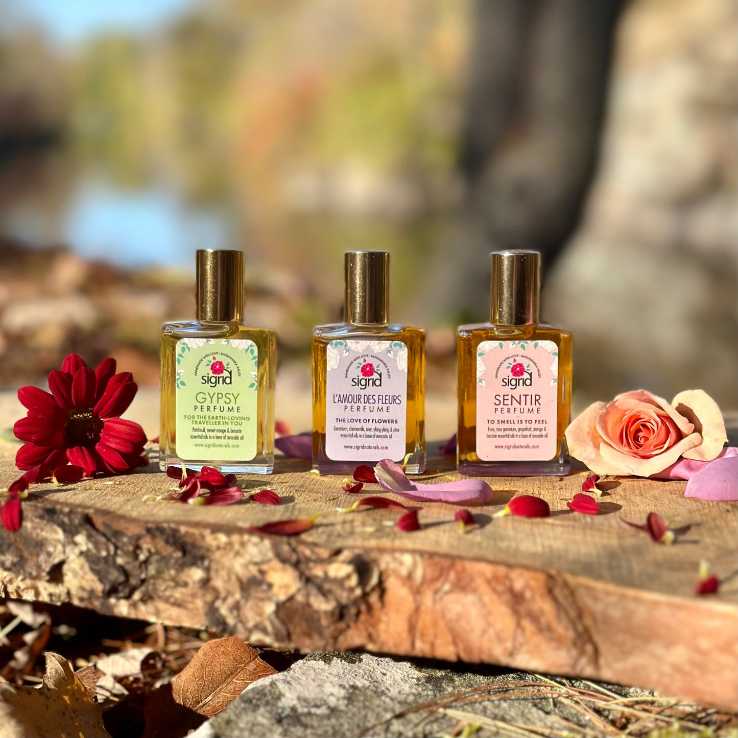 Sigrid Naturals Gift Card