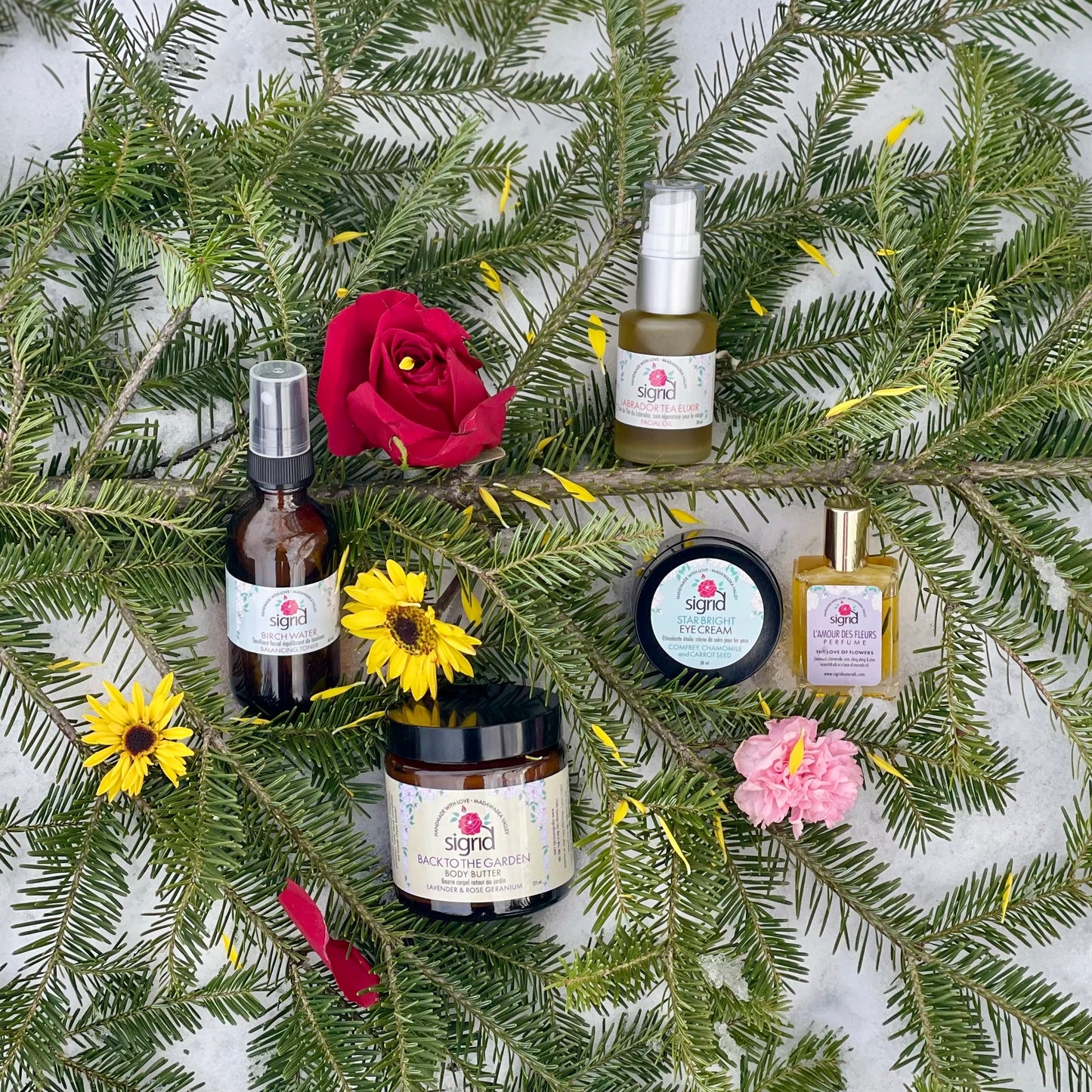 The Dreamer (25% savings)