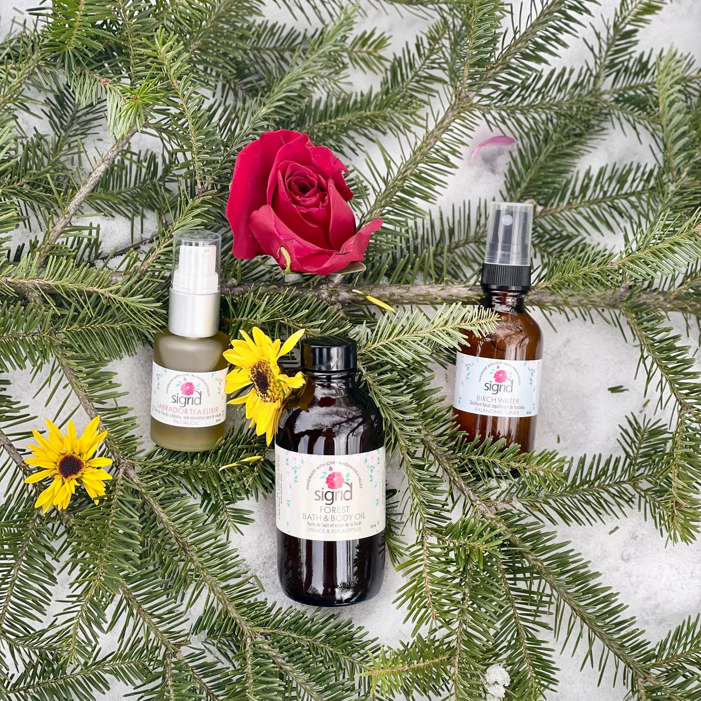 The Forest (25% savings)