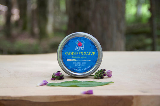 Paddler's Salve