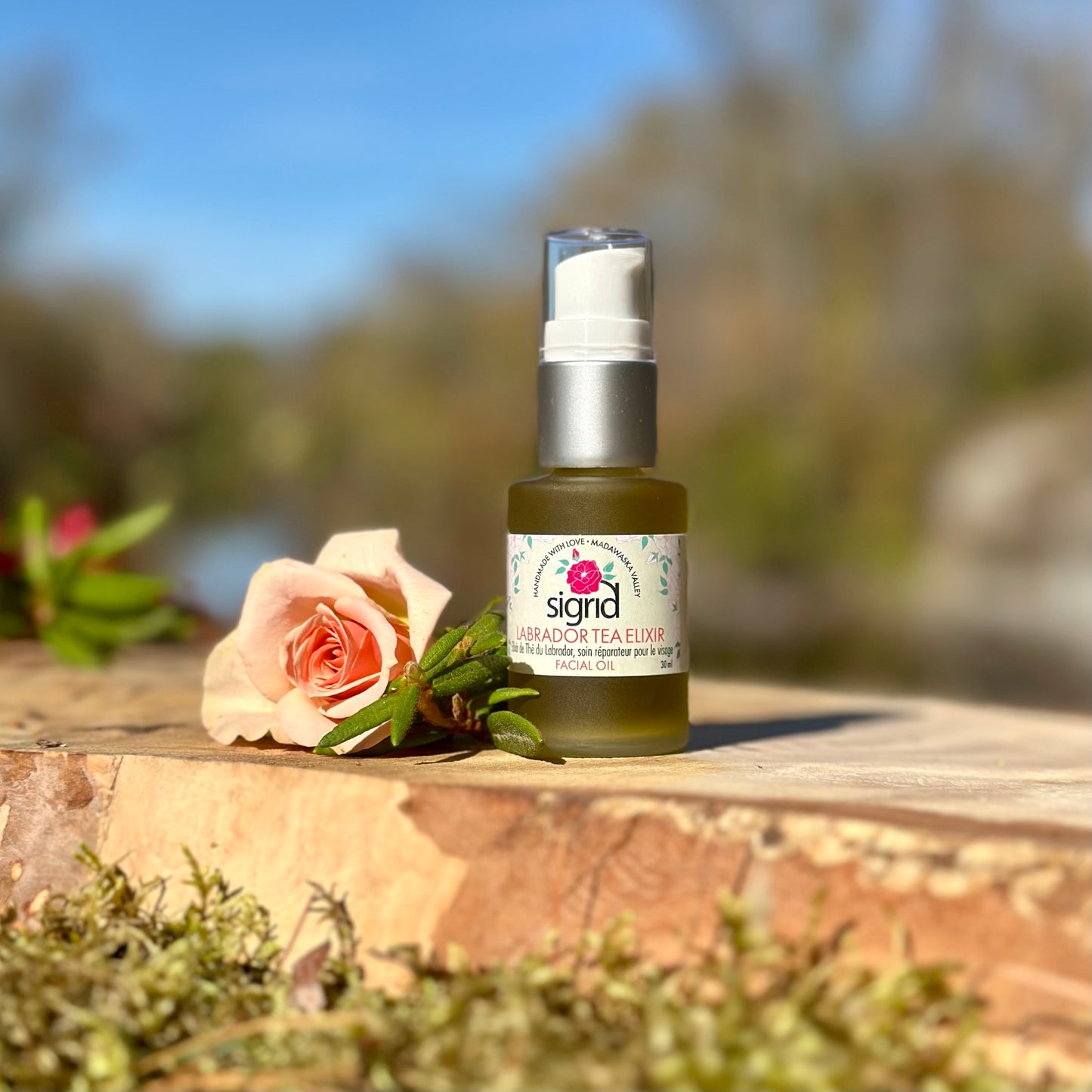 Labrador Tea Elixir Facial Oil