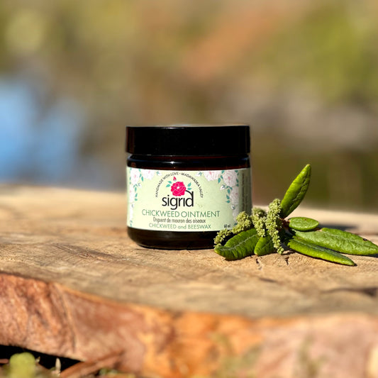 Chickweed Ointment
