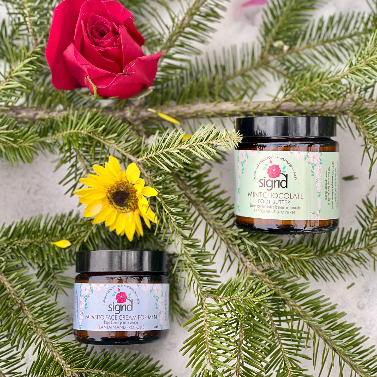 The Man (25% savings)