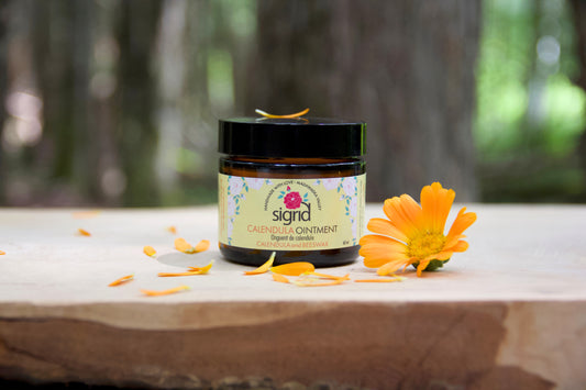 Calendula Salve