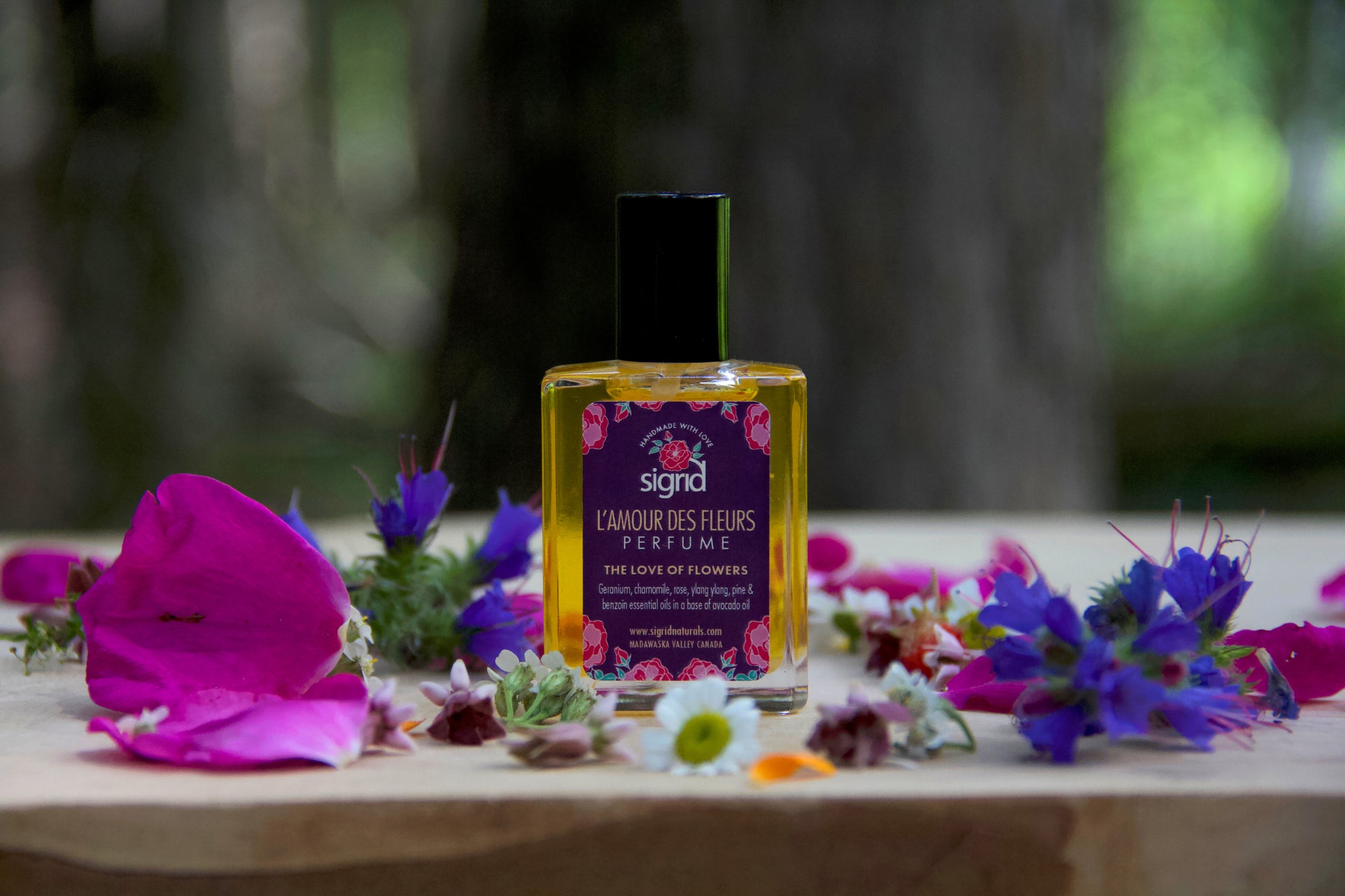 Amour Purple Rose Perfume Fragrance World La Nuit Rose 100 Ml Eau