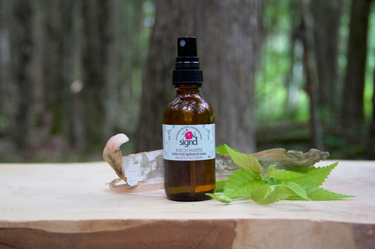 Birch Water Balancing Toner