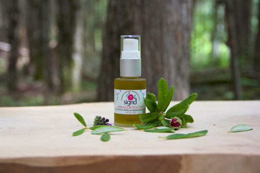 Labrador Tea Elixir Facial Oil